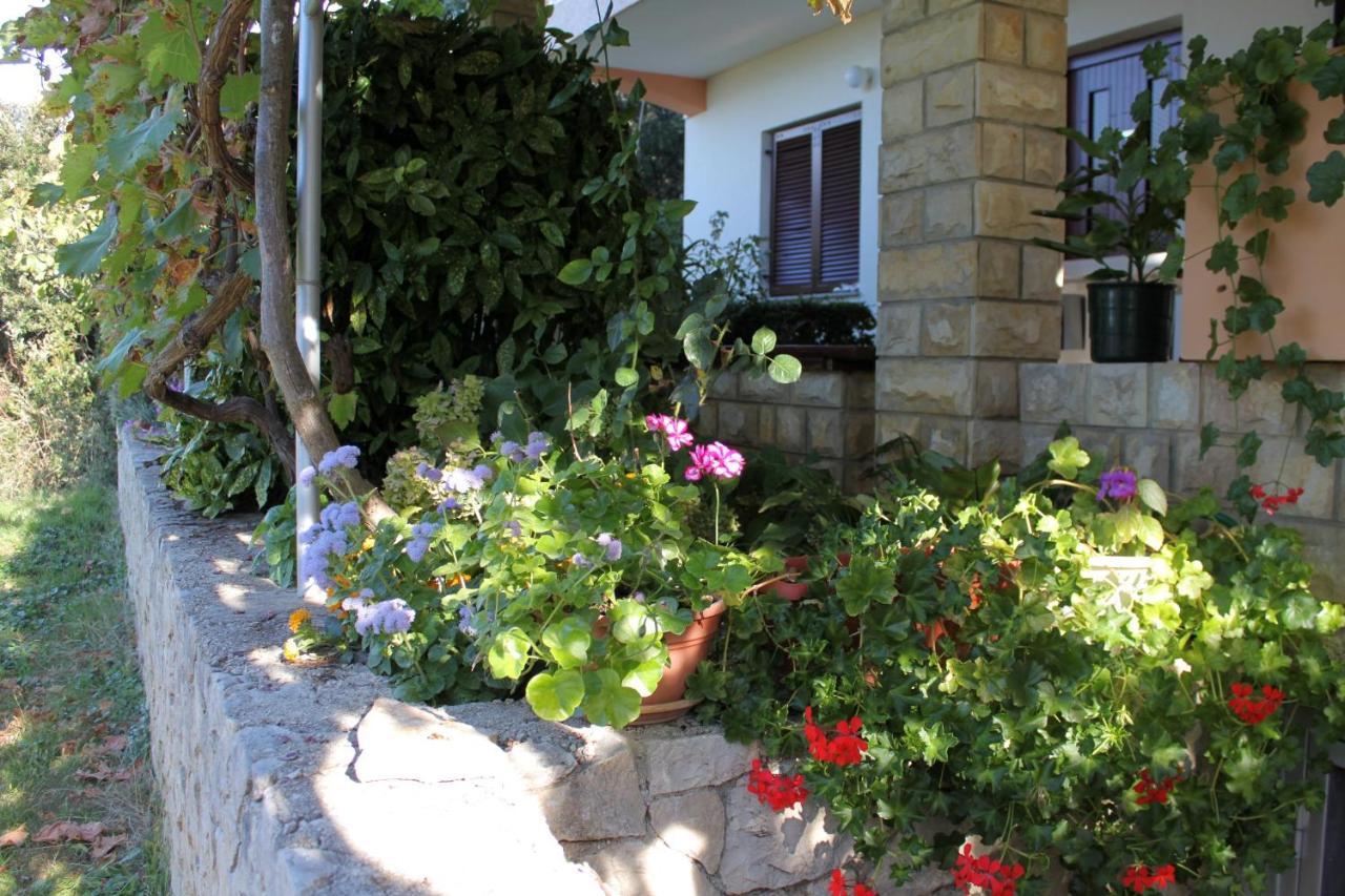 Family Friendly Seaside Apartments Kozino, Zadar - 5749 Petrcane Eksteriør billede